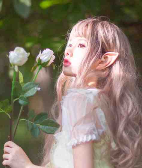 末世：一声剑来，斩尽万千妖邪江礼初江婧婷
