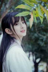 古代才女穿越后，成了霸总心尖宠小说