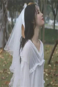 玄婚：小狐妻又美又飒小说