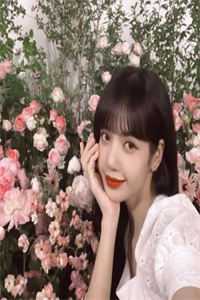 石器时代：我拿石头换枪炮陈美心陈芙明