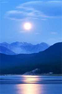 玩具店的等价交换物