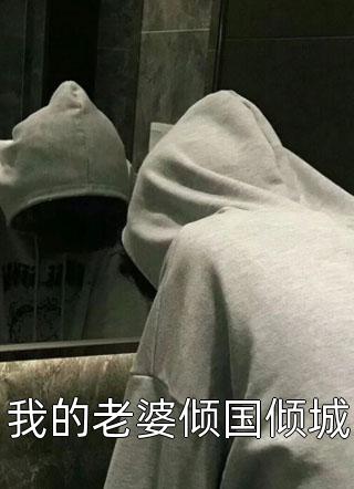 四合院：开局送贾家母子去拘留小说