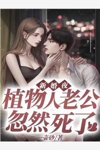 战帅出狱小说