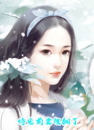 老李张峰