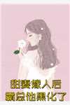 玩具店的等价交换物小说