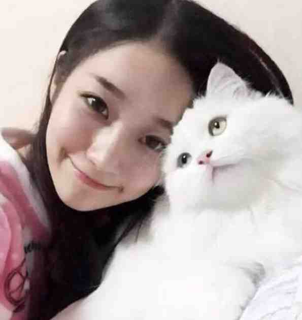 嫡女多娇：我家王爷是忠犬