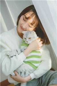 机娘时代：开局SSS天霆号机娘