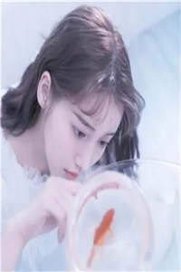 摄政冷王悄医妃