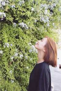 替嫁新妻：裴少，今天离婚吗