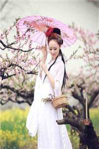 孙悟空须菩提最新章