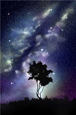 大明之穿成秀才定江山