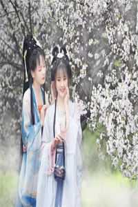 傻女拒嫁，七殿下怒踢花轿