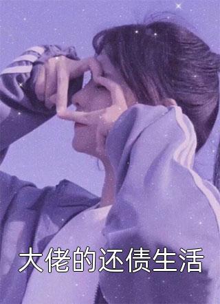 巅峰仕途
