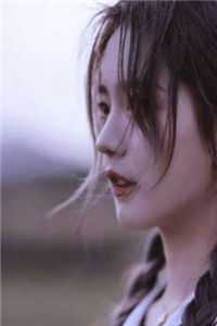 孤凰月宁安陆藏锋