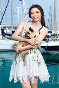 姜少不如后会无期陈洛初姜钰