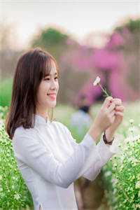 天骄医婿