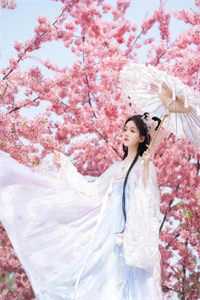 丹帝：夺回神秘玉碟后，我重返九重天