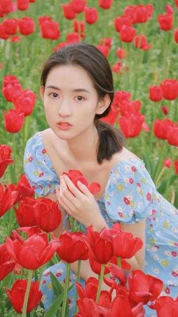 韩江陆楚楚是什么小说完结版