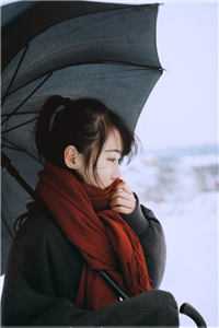 快穿之娘娘她又多孕了