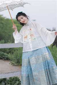休夫后，全京城贵公子都求她再嫁