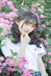精选宁鸢陆晋南
