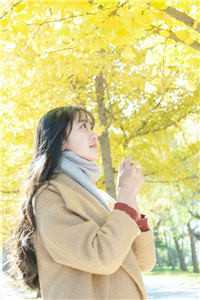 开局柳树化，吾乃东方第一守护神