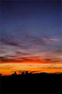 沈栖月裴明铮女频