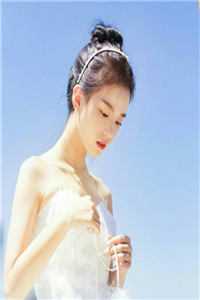 我的总裁白富美老婆秦宇杨雪