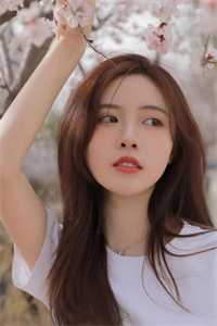 我，罪臣之女，开局进青楼