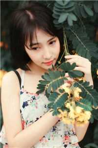 古穿今：女将军重生娱乐圈后爆红了