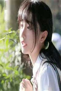 我在大唐发展科技