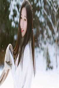孟柔陆景闻
