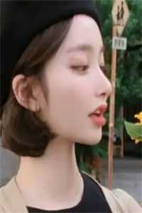 农家哑女：腹黑少爷悍村姑