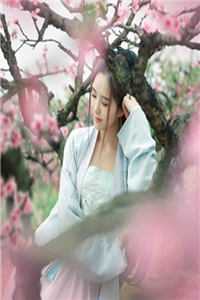我的绝色老婆