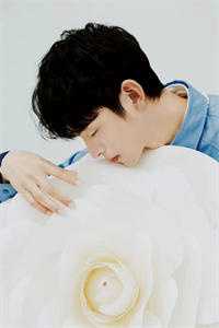 疯批总裁怀里娇娇甜翻了