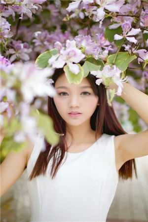 夫人重生后摆烂，陆总离婚吧