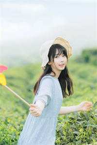 曲线升迁：利道情谋