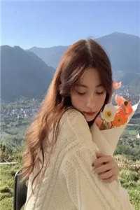 斩尽奸臣后，大明盛世三百年