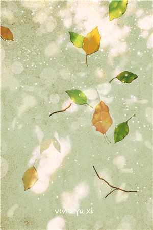 继室重生手册