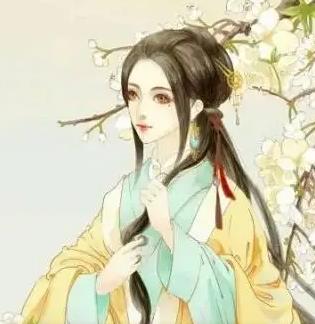 沐云书娄鹤筠全文阅读