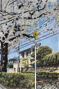 权途红颜