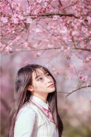 华妃重生，联手甄嬛战皇后