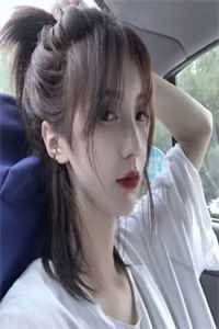 皇婿归来