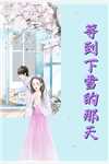 军婚甜宠：小军嫂又美又娇