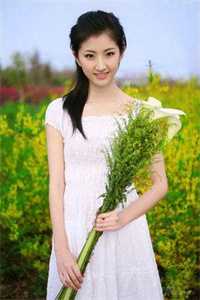寻魂记之谋定天下事，醉卧美人膝
