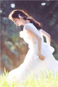 上门龙婿