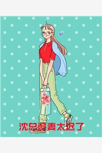 二嫁主母娇又软，民国少帅夜夜洗床单