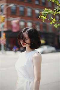 玫瑰与远山